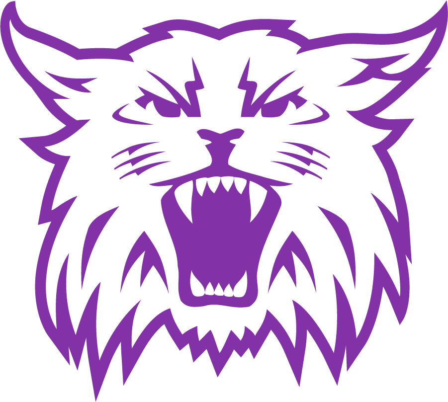 Weber State Wildcats 2008-2012 Secondary Logo DIY iron on transfer (heat transfer)